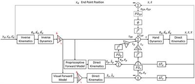 Neglect-Like Effects on Drawing Symmetry Induced by Adaptation to a Laterally Asymmetric Visuomotor Delay